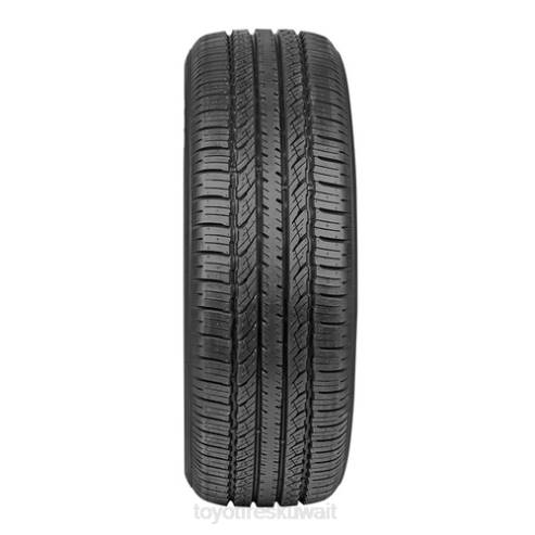 a36 p225/55r19 99 فولت بي إس دبليو Toyo Tires FRV2437 الإطارات